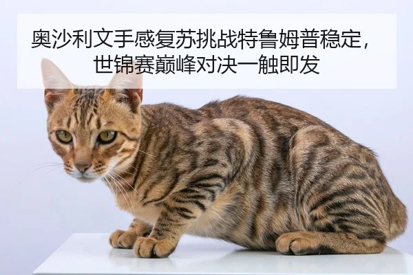 奥沙利文手感复苏挑战特鲁姆普稳定，世锦赛巅峰对决一触即发