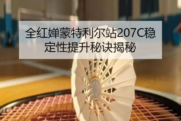 全红婵蒙特利尔站207C稳定性提升秘诀揭秘