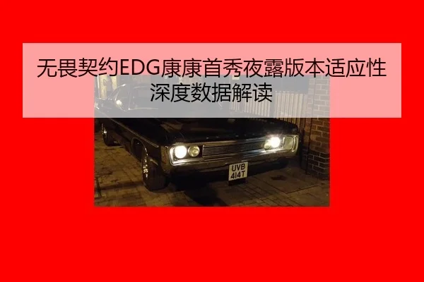 无畏契约EDG康康首秀夜露版本适应性深度数据解读